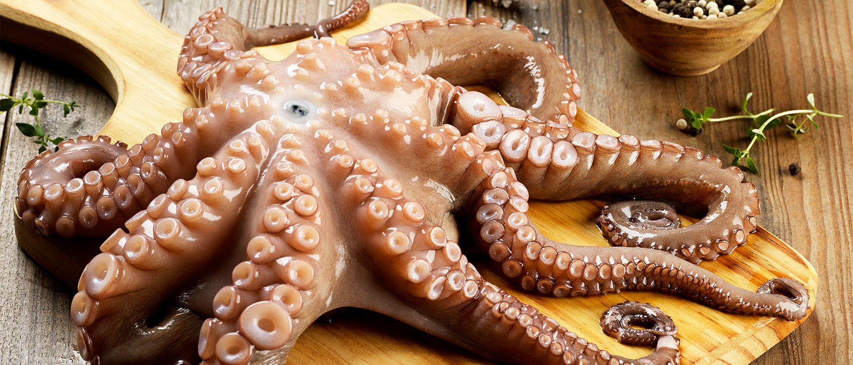 Polvo: receitas e beneficios