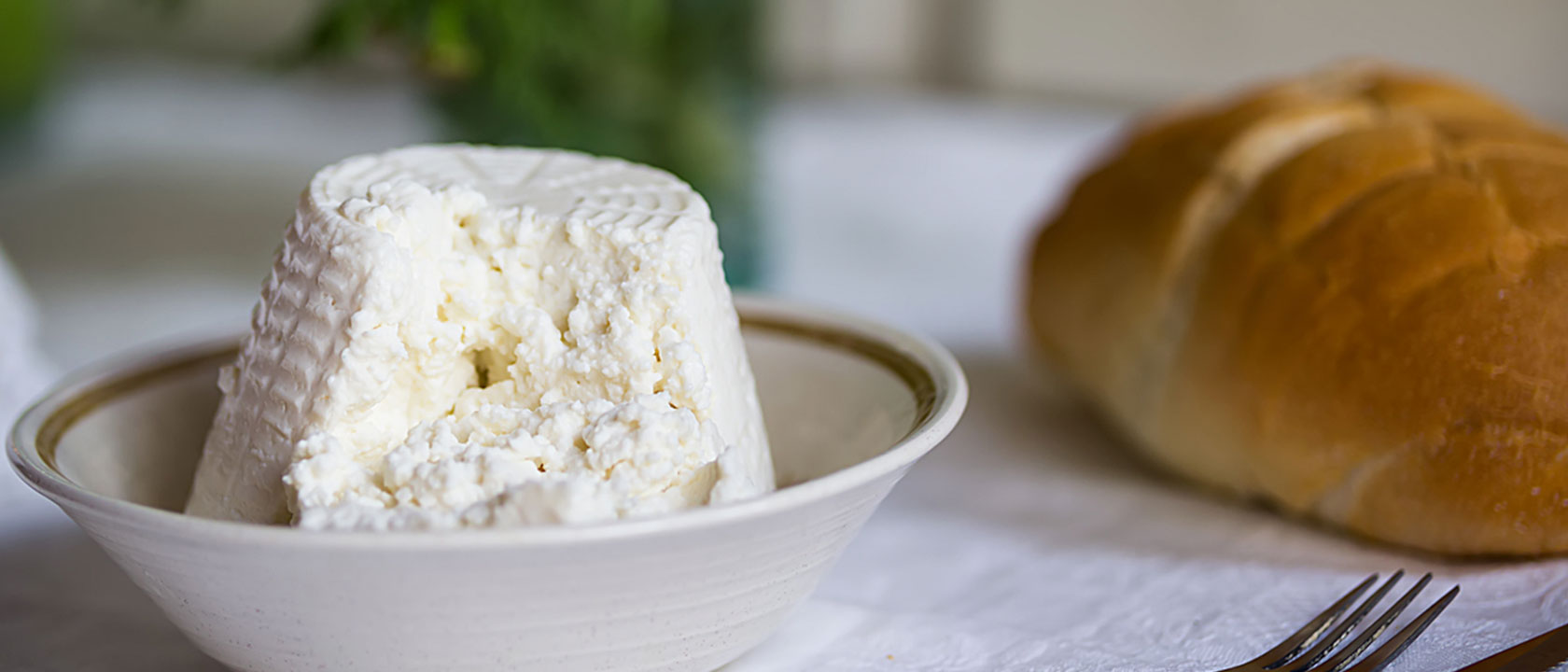 Queijo Ricota: receitas e benefícios