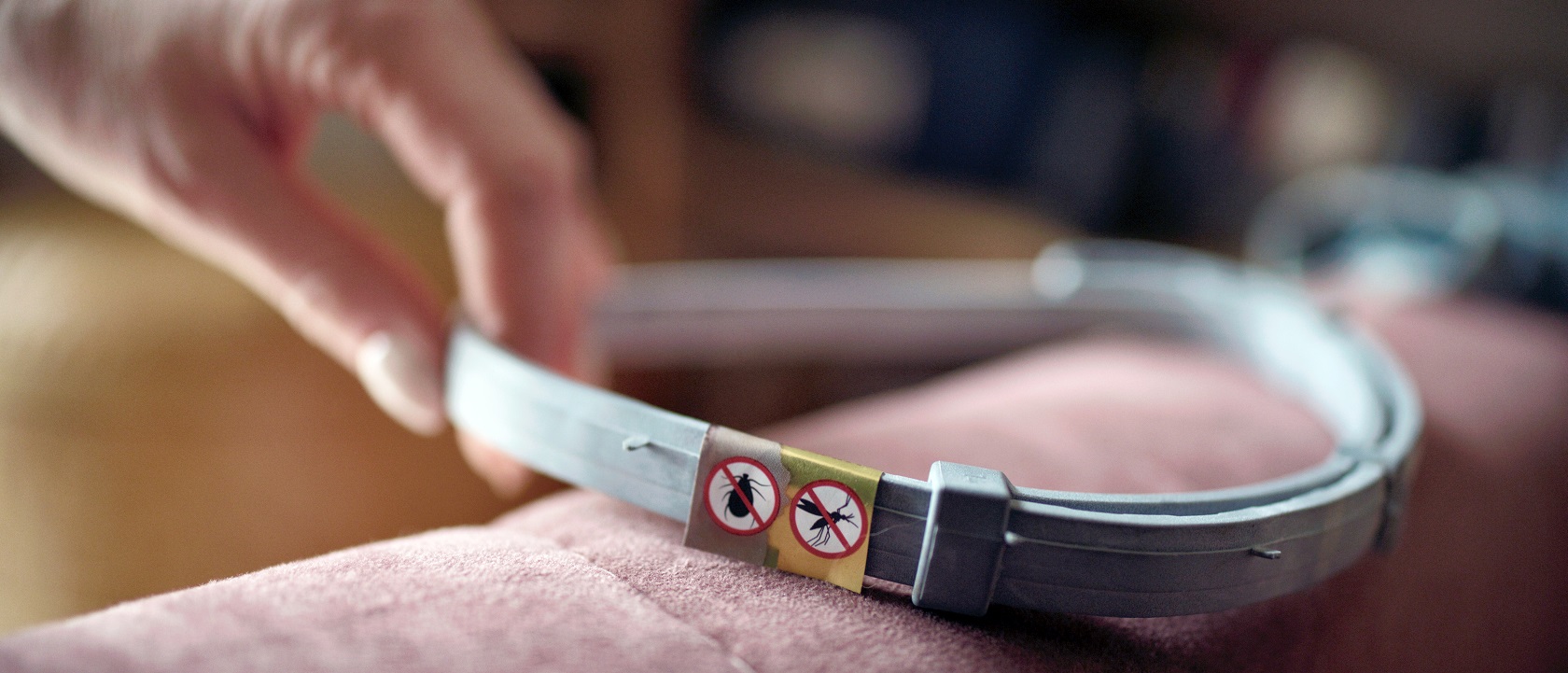 Coleira Antipulgas e Carraças