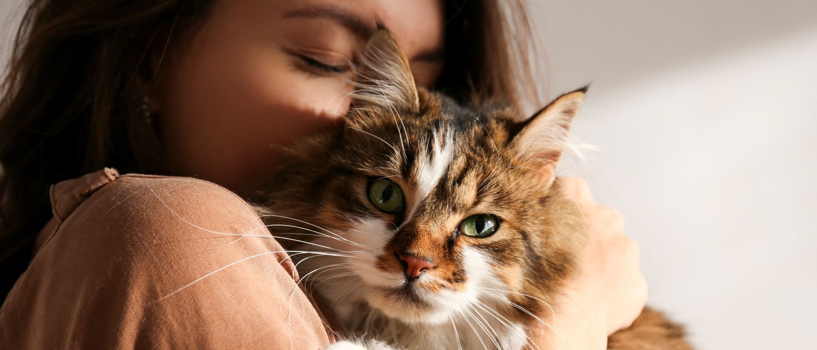 Seguro animal de estimação