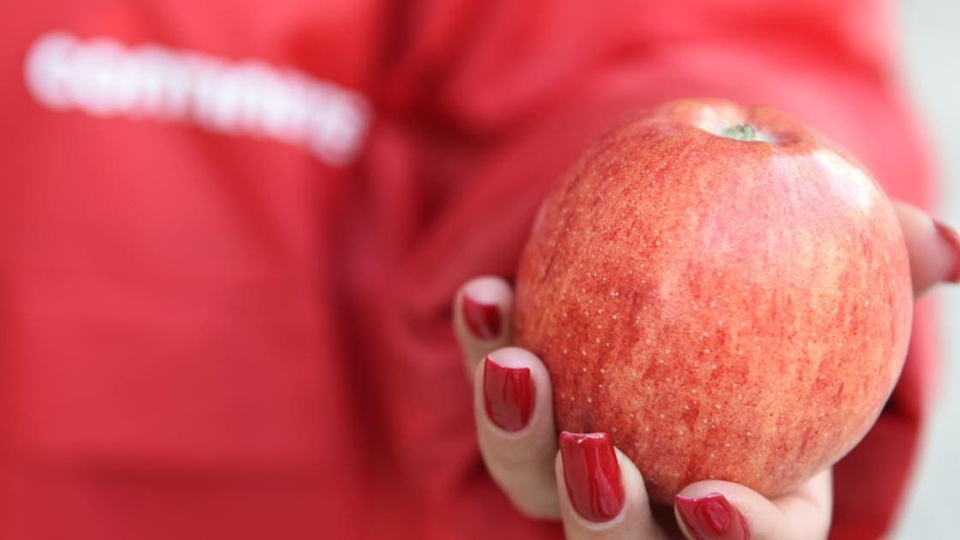 Doacao Diaria De Excedentes